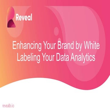 White Labeling Your Data Analytics