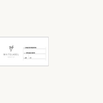 WhiteLabel Overview 2017