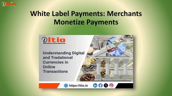 White Label Payment Solution and Platform | PDF