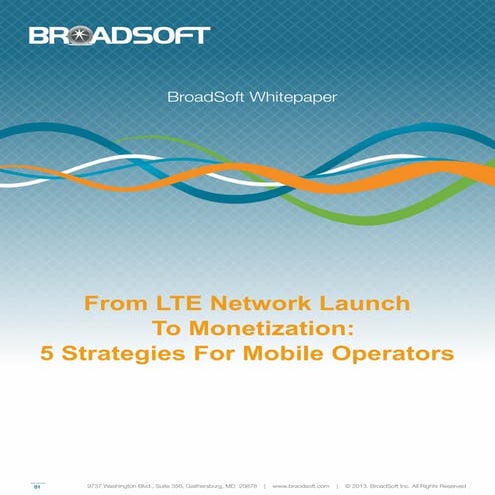 Whitepaper: From LTE Network Launch to Monetization