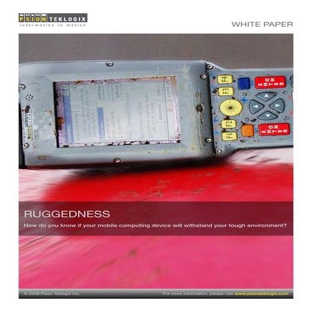 ruggedness | PDF