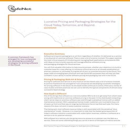 SaaS Pricing and Packaging Strategies 