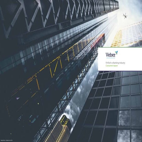 Veber FinTech Vs Banking consumer report