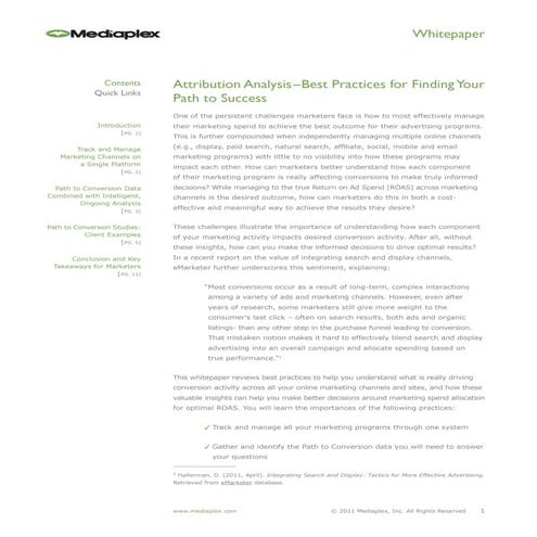 Attribution Analysis