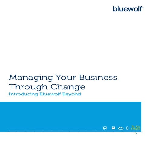 Managing Your Business Through Change: Introducing Bluewolf Beyond