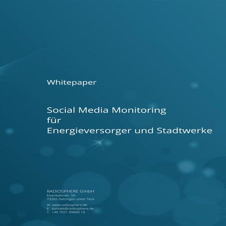 WHITEPAPER - Social Media Monitoring für Energieversorger und Stadtwerke 2013