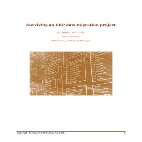 White paper  surviving an erp data migration 