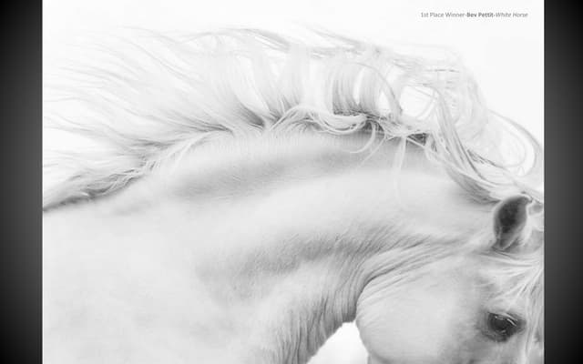 "White" Photo Contest: Winners (Pri...