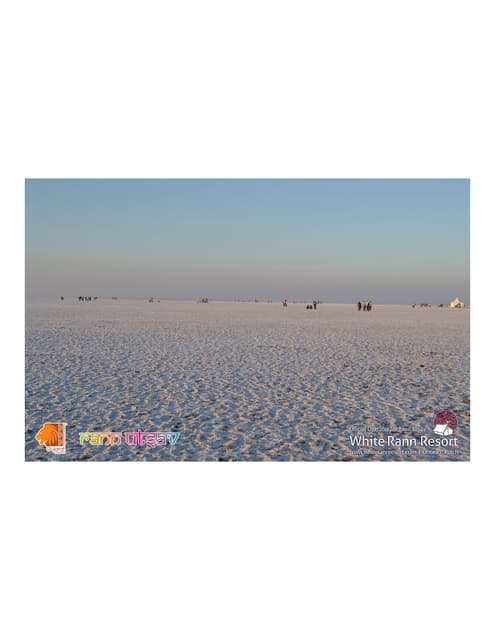 Rann utsav - White Rann Resort | PDF