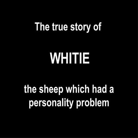 WHITIE | PPT