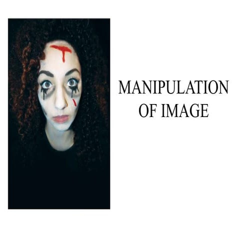 Image Manipulation