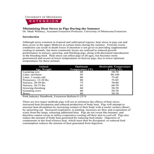 Minimizing Heat Stress in Pigs During the Summer