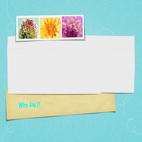 Who Am I Presentation | PPT