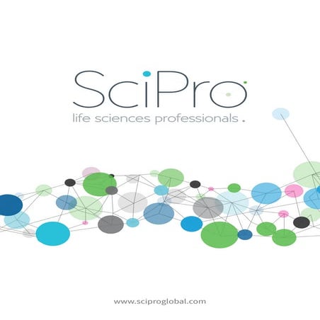 Our Specialisms - Europe