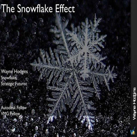 Snowflake Effect ASTD TK2010