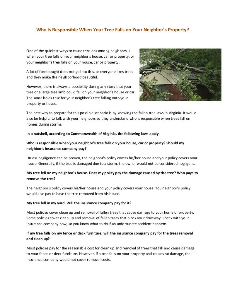 Who is responsible when your tree falls on your neighbor