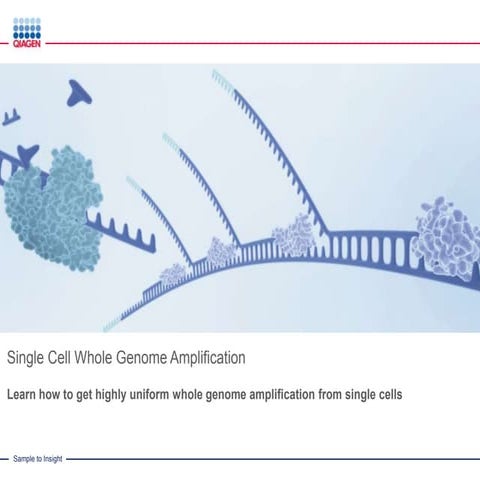 Whole Genome Amplification from Single Cell