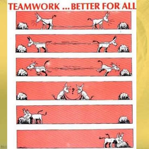 Whole group &amp; small group strategies