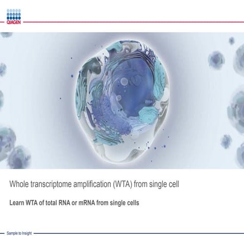 Whole Transcriptome Amplfication from Single Cell