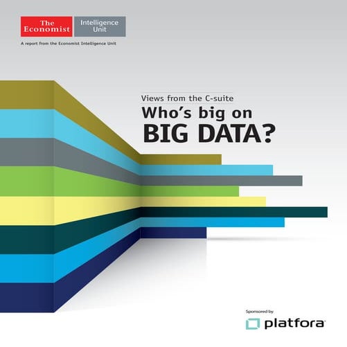 Who's big on big data?