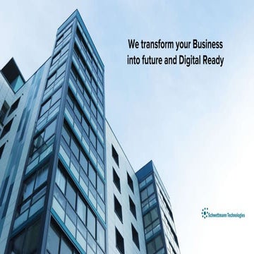 Who we are_Schwettmann Capability.pdf