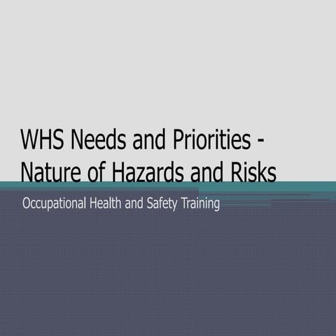 Reducing risk protecting people | PDF