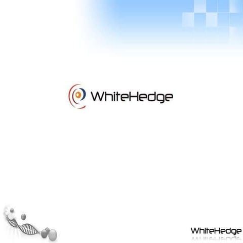 WhiteHedge Technologies Services Overview