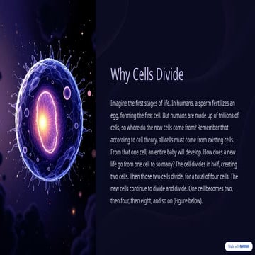 Why-Cells-Divide.pptx....mmm.n...........