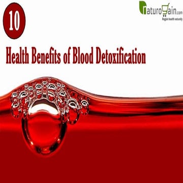 Why It Is Important to Purify Your Blood, 10 Health Benefits of Blood Detoxif...