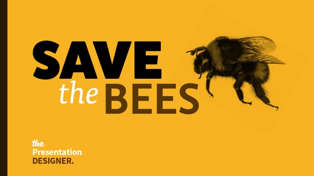 Why the World Needs Bees