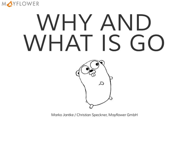 Why and what is go