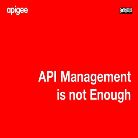 Why API Management is Not Enough