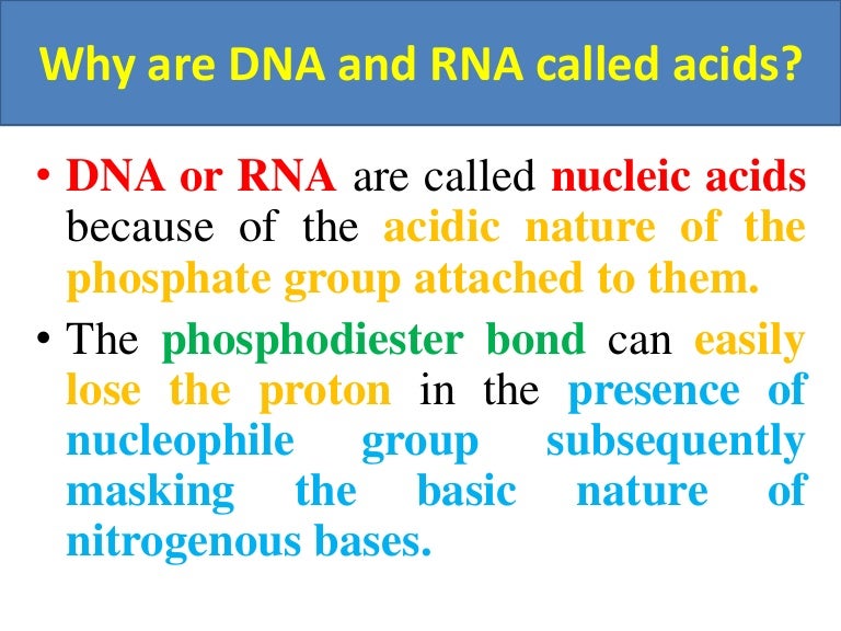 Why are dna and rna called acids AND FUNCTIONS OF NUCLEIC ACIDS