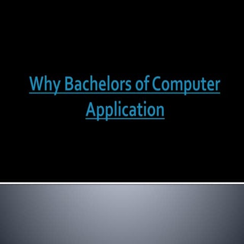 Why bachelors of computer application