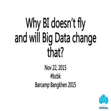 Why bi doesn't fly and will big data change that?
