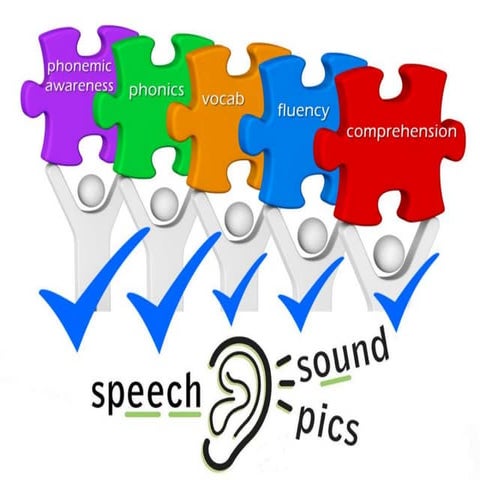Why call them Speech Sound Pics ? The SSP Approach