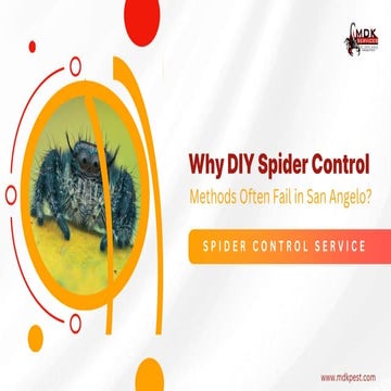Indoor vs Outdoor Spider Control | PPTX