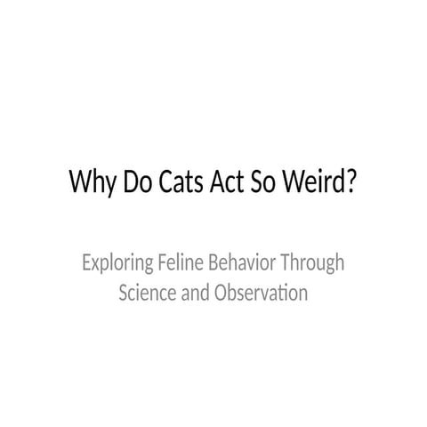 Why_Do_Cats_Act_So_Weird.pptxbdhshshshshshh