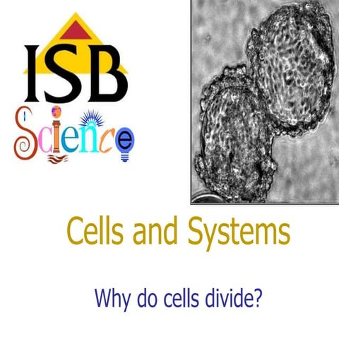 Why do Cells Divide?
