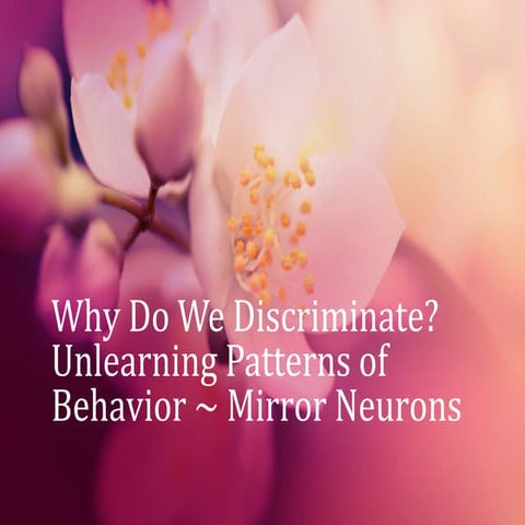Why Do We Discriminate? Unlearning Behavior Patterns