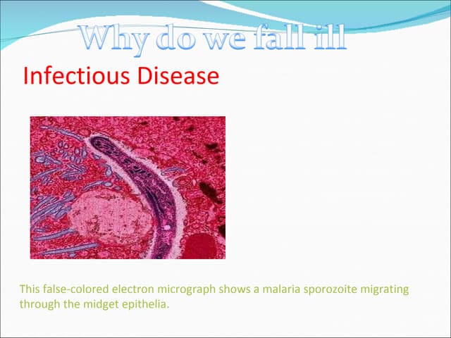 Why do we fall ill 