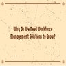 Why Do We Need Workforce Management Solutions to Grow?