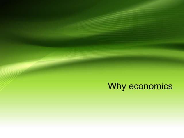 Why economics