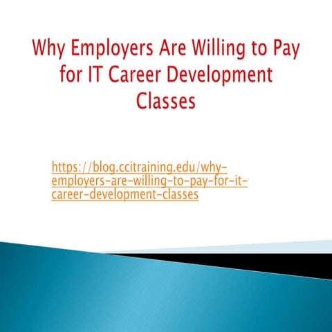 Why Employers Are Willing to Pay for IT Career Development Classes