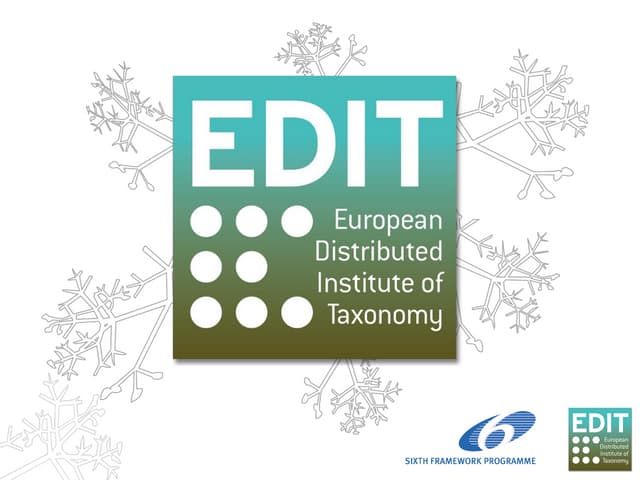 Online taxonomy: Why do people engage?