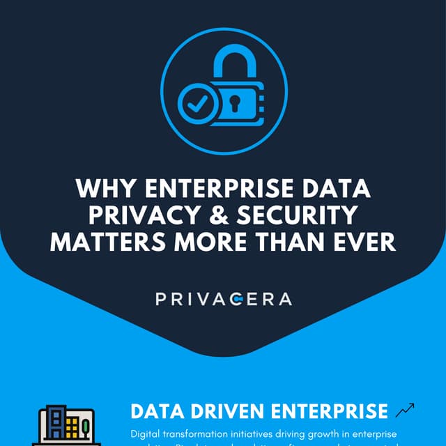 Why enterprise data privacy and security matters more than ever before