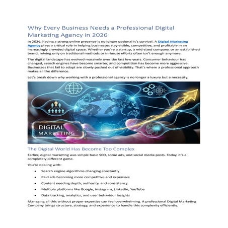 Why Every Business Needs a Professional Digital Marketing Agency in ...