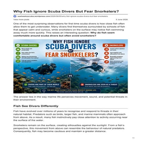 Why Fish Ignore Scuba Divers but Fear Snorkelers? | PDF