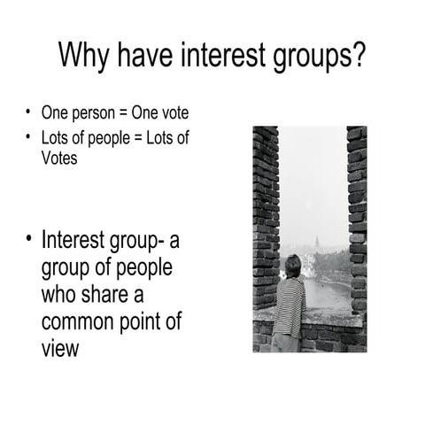 Why have interest groups