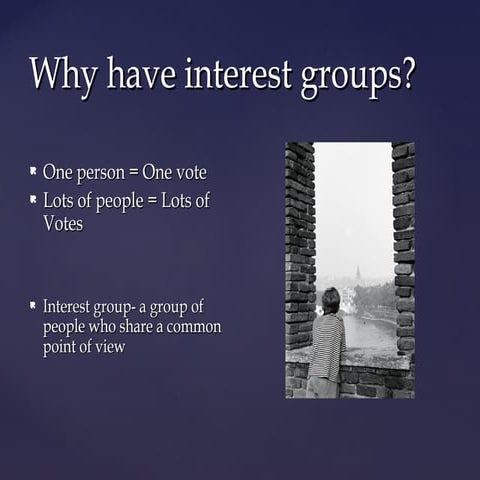 Why have interest groups